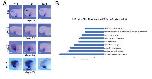 Expression Image