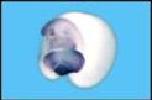 Expression Image